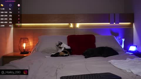 Hailey online show from January 15, 9:45 pm