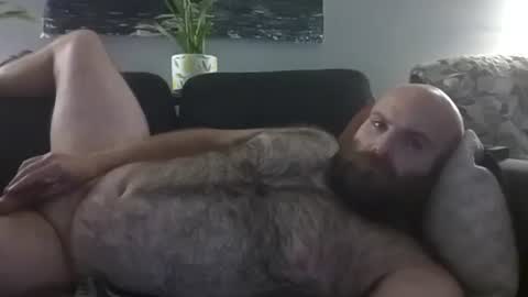 Hairiest Bear online show from August 9, 5:24 am