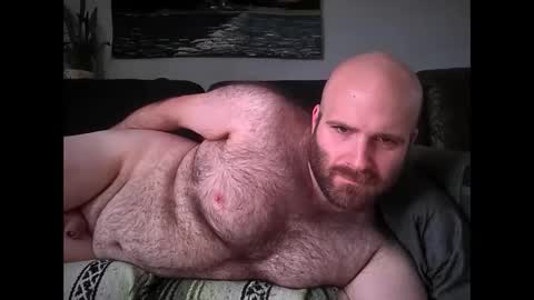 Hairiest Bear online show from April 17, 1:46 pm