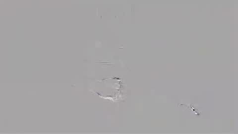 hairycol66 online show from July 18, 2:08 pm
