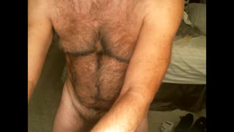 Hairy pecs online show from November 11, 4:25 am