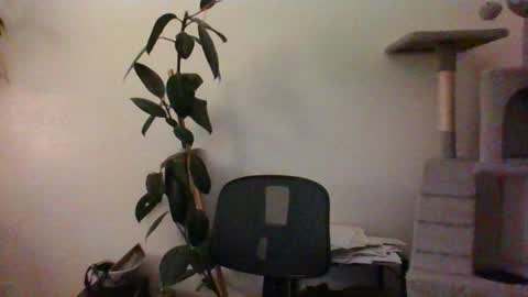 hairypussylover089 online show from August 6, 3:48 am