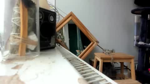 handncocknocum online show from February 19, 9:06 am