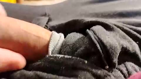 hardandhorny422 online show from May 14, 11:52 am