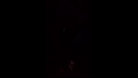 Harper online show from May 17, 2:43 am