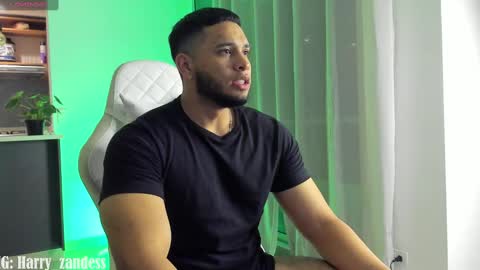 Harry Zandes online show from February 20, 6:17 am