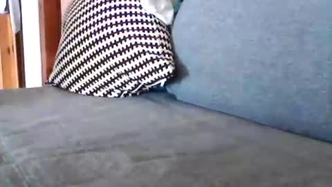 havier282874 online show from July 17, 6:04 am