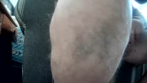 Haywired online show from December 28, 8:36 pm