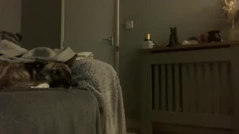 hazzabigh749062 online show from November 14, 11:06 pm