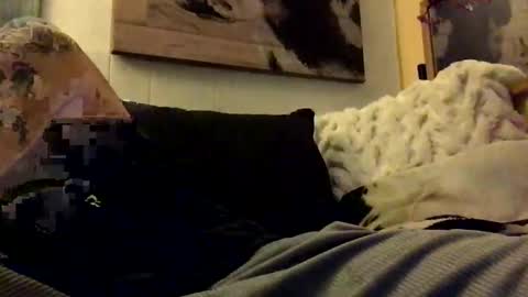 HBSethy online show from January 11, 7:06 am