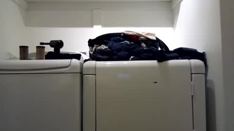 hdrsh08 online show from January 7, 2:08 pm