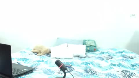 Holycode online show from February 2, 10:56 am