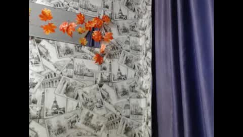 Lina online show from November 14, 8:27 am