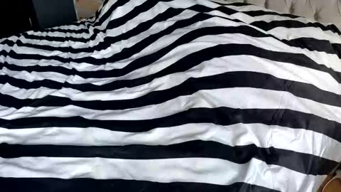 hornyasscouple1009 online show from January 17, 11:41 am