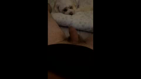 hornycokehead29 online show from December 21, 12:50 am