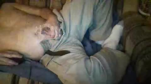 hornyhornyhorny65 online show from November 24, 11:25 pm