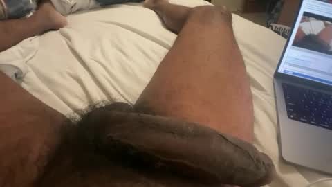 Bbc horsey online show from February 16, 12:21 pm