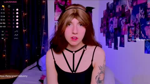  Next stream 28112024 8 GMT 3 online show from February 5, 4:03 pm