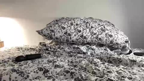 Annabelle online show from February 11, 1:20 am