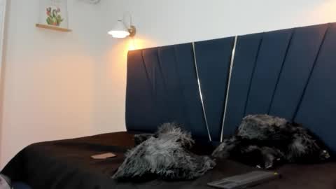 hotvain_cum23 online show from December 19, 8:26 pm