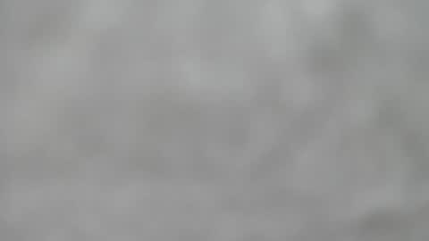 Slutty little female cat online show from July 5, 7:37 am