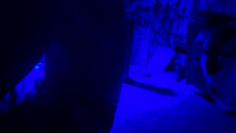 ask me online show from April 21, 1:42 am