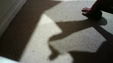 Hypeman online show from February 24, 5:54 am