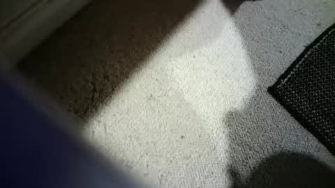 Hypeman online show from February 14, 3:53 am