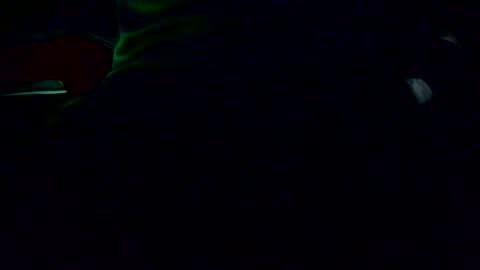 Nicolas online show from December 4, 2:22 am