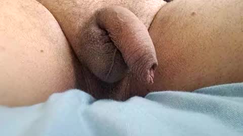 ikbenzo online show from December 8, 10:41 am