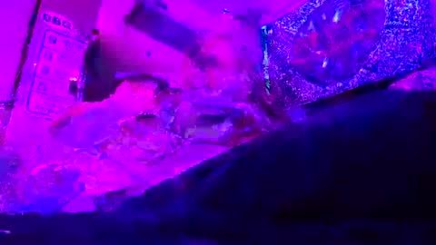 ilovestinkypussy420 online show from August 6, 3:15 am