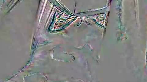 mia latina online show from February 23, 1:52 am