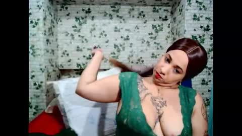 Candy cat online show from February 16, 8:18 pm