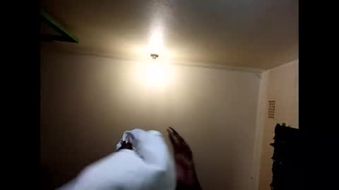 Perky baby online show from January 15, 2:04 pm