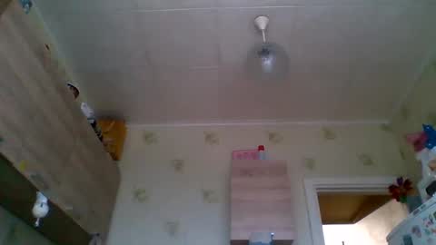 irie bird online show from February 17, 5:58 am