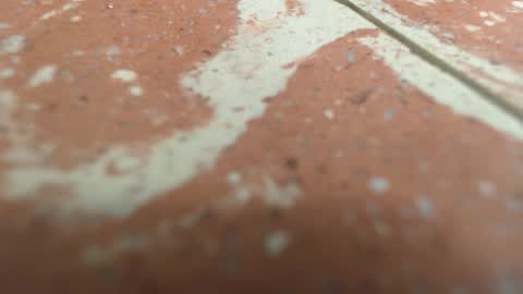 isabella_jazz online show from September 20, 3:26 pm