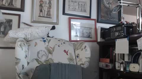 ImYourBitch online show from May 17, 5:44 pm