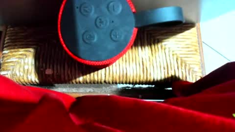 ivanaskats online show from December 17, 7:04 pm