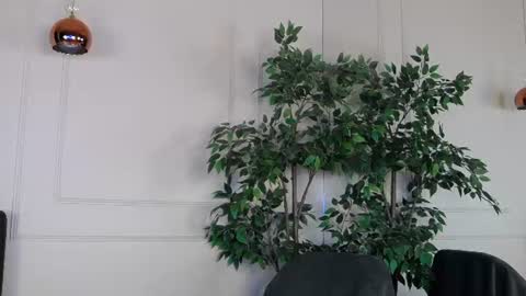 IvyLustt online show from June 24, 5:14 am