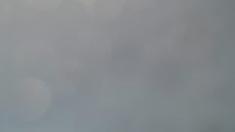 Ivy Rosie online show from June 23, 2:23 pm