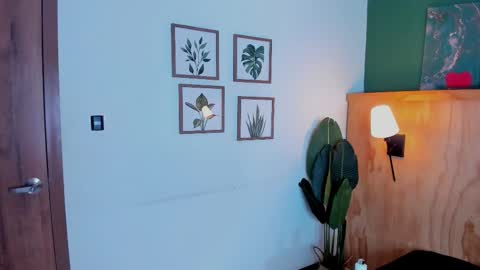 David online show from November 25, 3:16 am