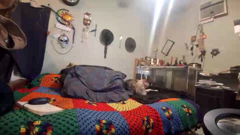 Jim jackn coke online show from November 15, 3:19 am