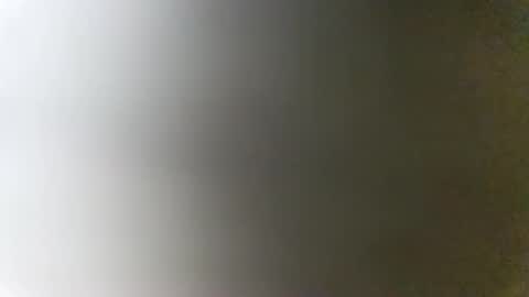 Dess online show from November 4, 7:59 pm