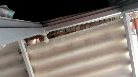 Jade Smith online show from October 24, 5:57 pm