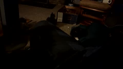 Jason online show from December 1, 7:34 pm