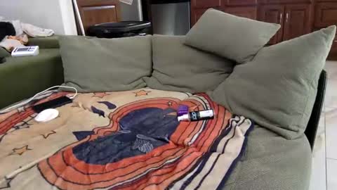 jakeandhissnakee online show from February 19, 7:57 pm