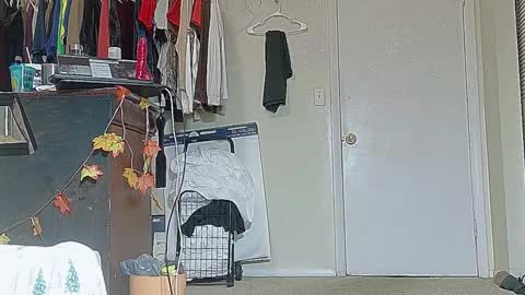 Snapshot of jamwarnerone chatting on October 1, 4:06 pm Bootyshows online show from October 1, 4:06 pm