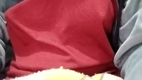 jasspreettt online show from January 30, 1:55 am