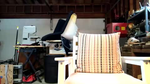 Snapshot of jawssharkparty chatting on October 14, 3:59 pm Jaws  online show from October 14, 3:59 pm