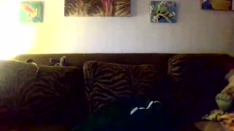 jay-jay1475 online show from October 11, 10:35 pm